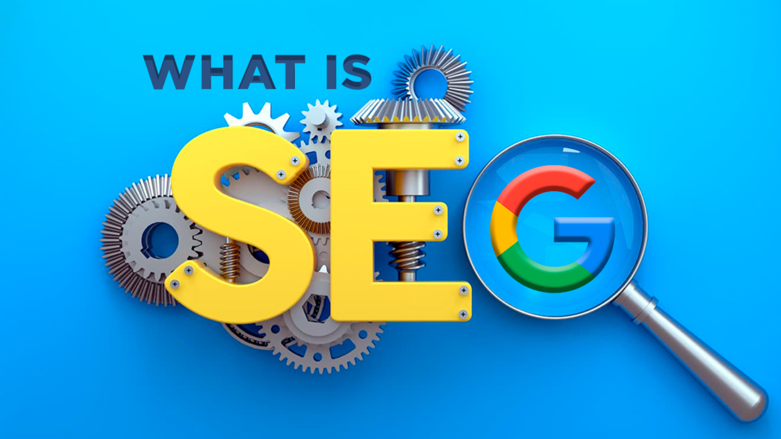 what is seach engine_